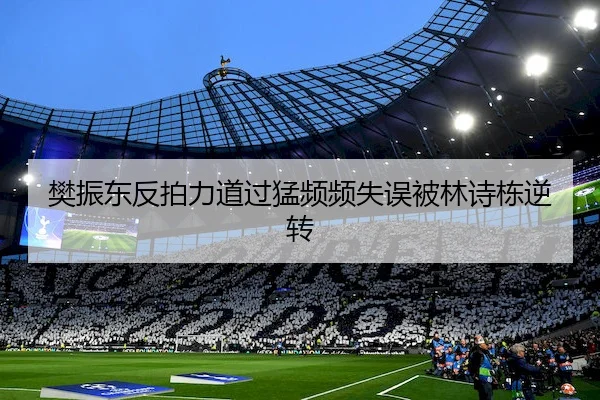 樊振东反拍力道过猛频频失误被林诗栋逆转